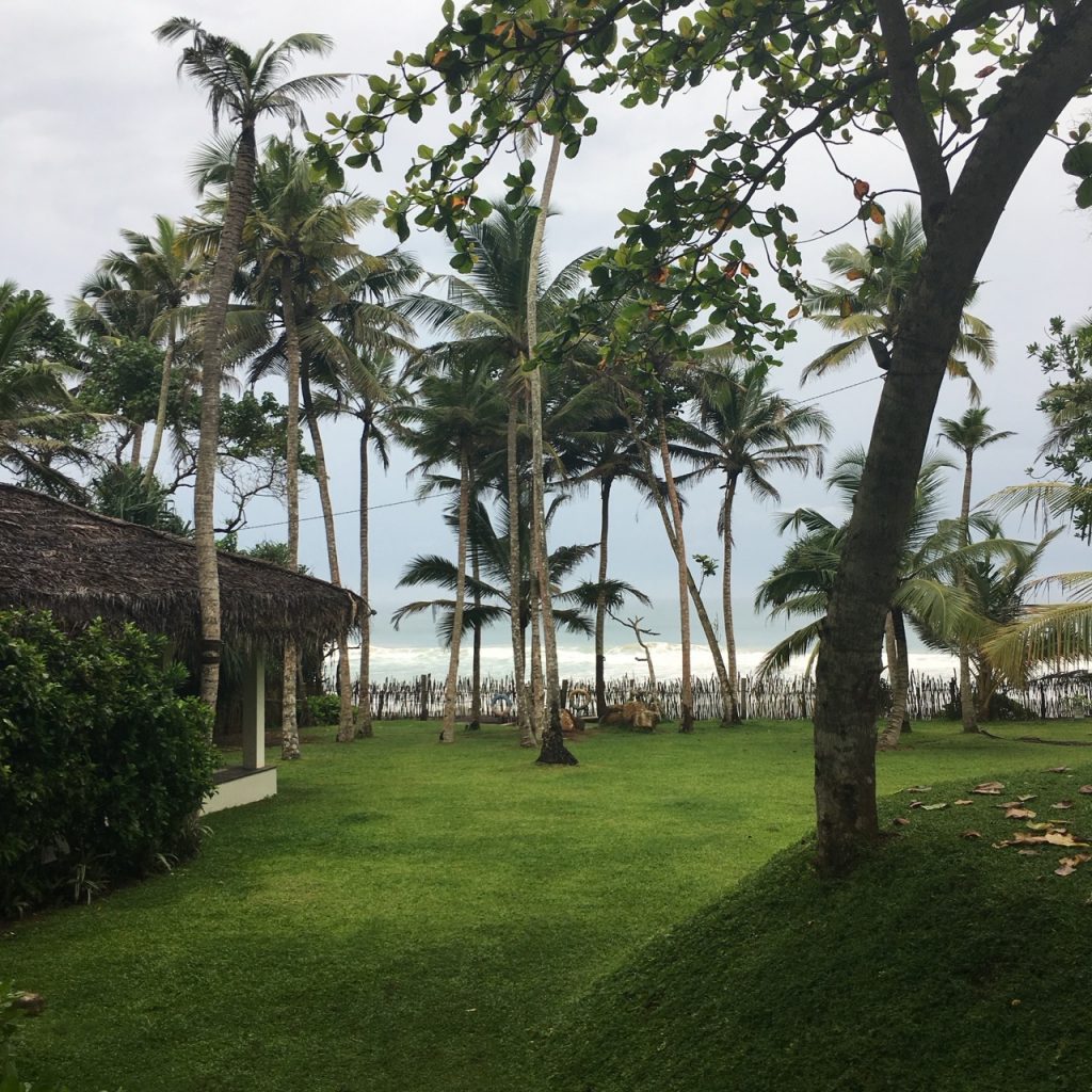 Image of garden at Meda Gedara Villa Sri Lanka © Kerry McCarthy